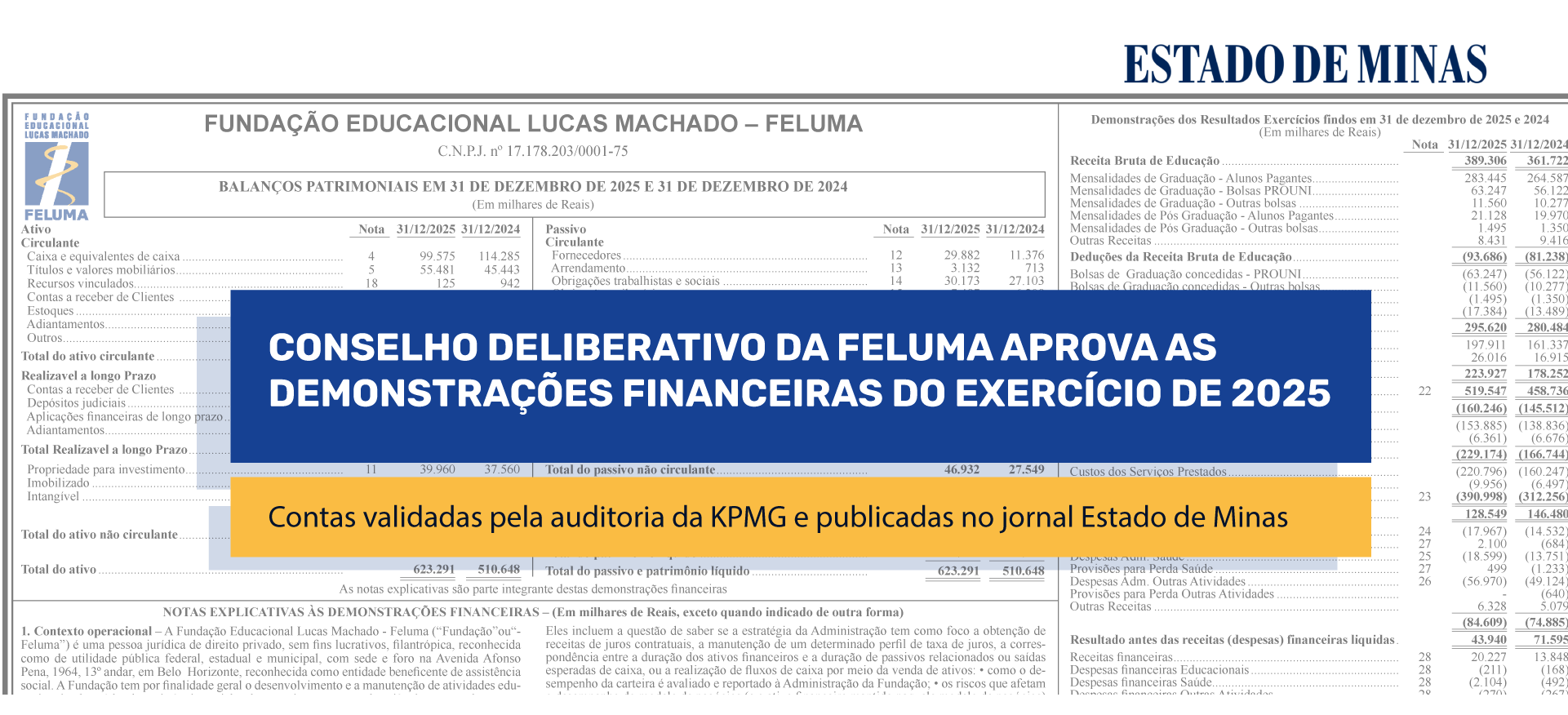 Demonstrativo-2025-Banner-Site